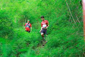 BIB: 
                            <button type="button" onclick="openModal(22092161)" class="btn btn-primary btn-sm float-right btn-popup" data-toggle="modal" data-target=".modal-high-quality">
                        <i class="fas fa-shopping-cart"></i> Add to Cart
                    </button>
                                            <button type="button" onclick="isThisMe(22092161, true)" class="btn btn-success btn-sm float-right btn-popup btn-isme hidden" data-toggle="tooltip" data-placement="bottom" title="นี่คือรูปของคุณใช่ไหม คลิกที่นี่เพื่อเอาเข้าอัลบั้ม">
                        <i class="fas fa-plus"></i> Add to album
                    </button>
                    <button type="button" onclick="isThisMe(22092161, false)" class="btn btn-warning btn-sm float-right btn-popup btn-isnotme hidden">
                        <i class="fas fa-ban"></i> Remove from album
                    </button>